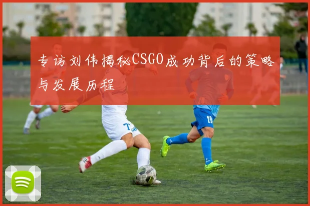 专访刘伟揭秘CSGO成功背后的策略与发展历程